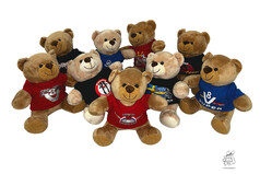 Mehrere sitzende Plschbren 