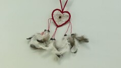 Ein herzfrmiger Traumfnger mit rotem Rahmen, feinem Netz und mehreren hellen Federn.