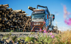 Volvo FH LKW mit Trux Frontschutzbgel "Highway" aus glattem Aluminium in Dunkelgrau mit orangefarbenem Gitter und Zusatzleuchten.