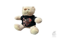 Beiger Plschbr "Siggi" im schwarzen T-Shirt mit AST-Logo und LKW-Motiv.