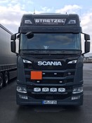 Scheibengitter New Generation "Rounded Edges" Vogel